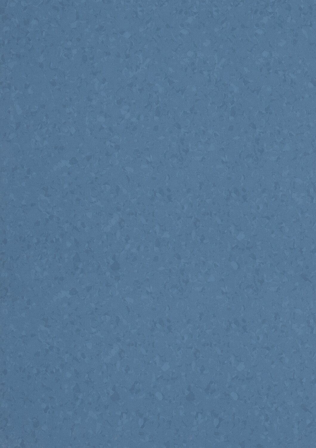 6036 OCEANIA