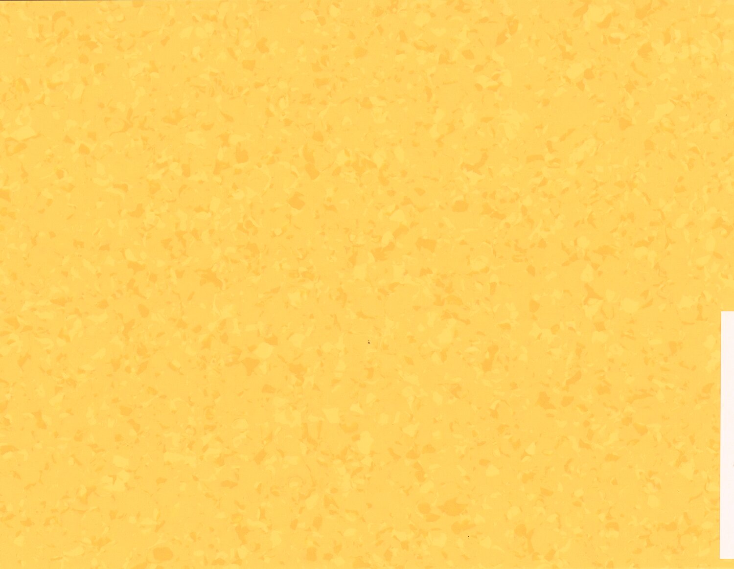 6032 SUNSHINE
