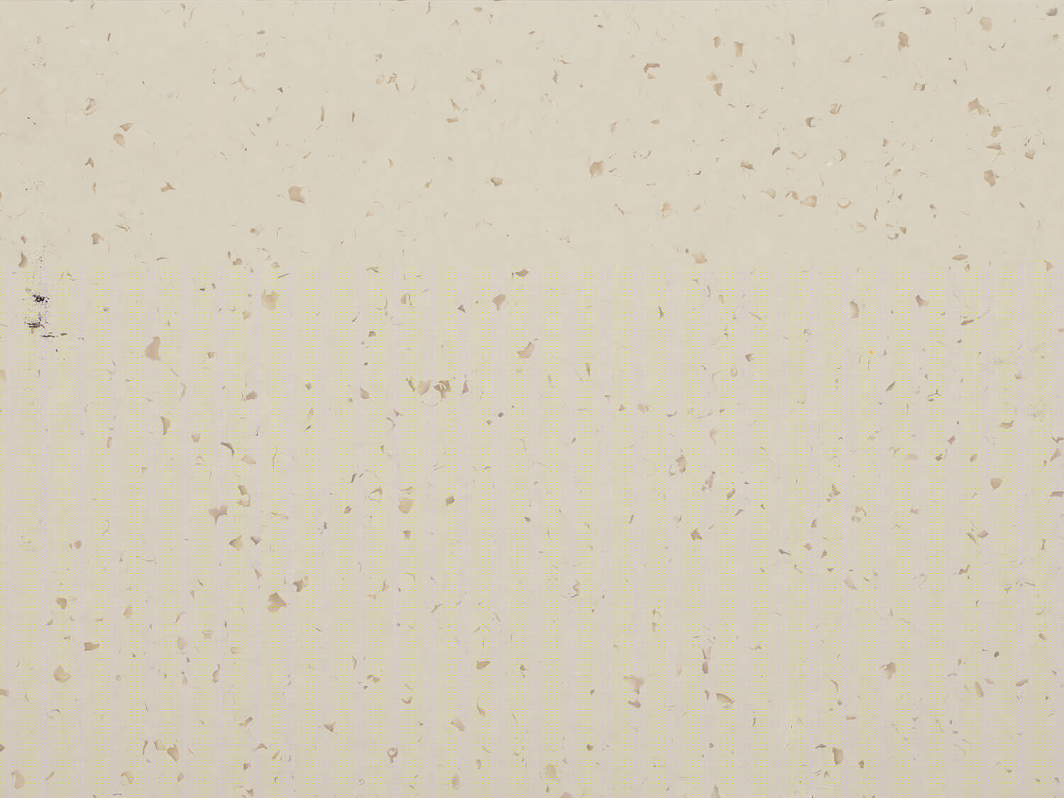 5404 VANILLA SKY