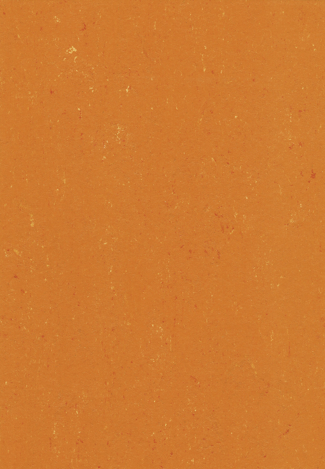0170 KUMQUAT ORANGE
