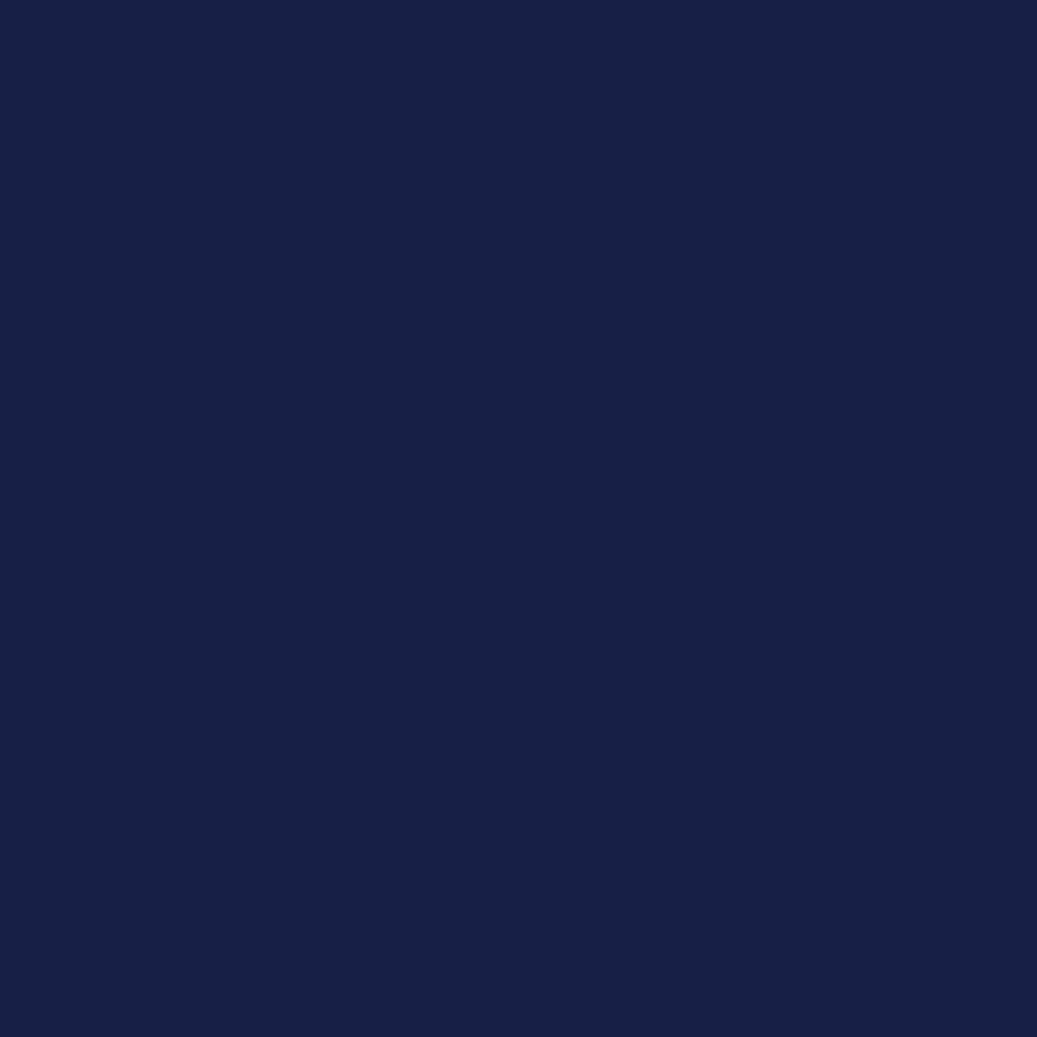 0009 DARK BLUE